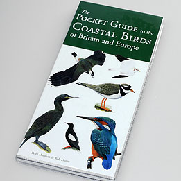 The Pocket Guide to the Coastal Birds of Britain and Europe by Hayman & Hume